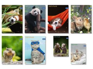Тетрадка А4, мат/UV Fluffy Friends, 40+2 л.ред, 70 г/м2